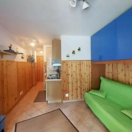 Sguardo Nel Bosco - -