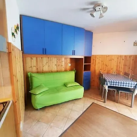 Sguardo Nel Bosco - - *